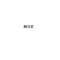 RCCE corazzata con elettronica (14)